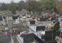 iTV INFO – 3 LISTOPADA 2023