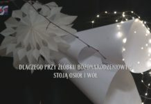 DLACZEGO PRZY ŻŁÓBKU BOŻONARODZENIOWYM STOJĄ OSIOŁ I WÓŁ – SP NR 4 W TARNOBRZEGU