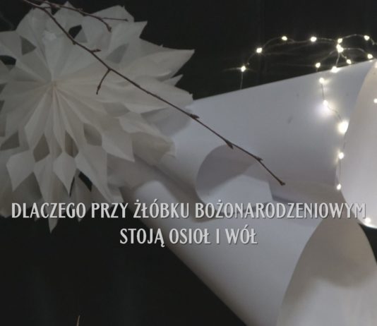 DLACZEGO PRZY ŻŁÓBKU BOŻONARODZENIOWYM STOJĄ OSIOŁ I WÓŁ – SP NR 4 W TARNOBRZEGU
