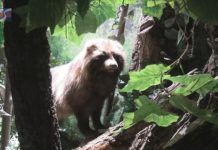 iTV INFO – 9 LUTEGO 2024