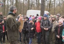 ZAWIESILI BUDKI DLA PTAKÓW – LIGA OCHRONY PRZYRODY UCZCIŁA JUBILEUSZ