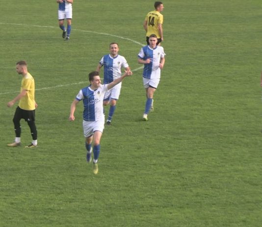 TRWA ŚWIETNA PASSA STALI GORZYCE – GOSPODARZE POKONALI STAL NOWA DĘBA