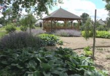 iTV INFO – 7 CZERWCA 2024