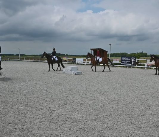 TRZECIA EDYCJA W NOWEJ ODSŁONIE – WYDRZAŃSKIE SPOTKANIA JEŹDZIECKIE