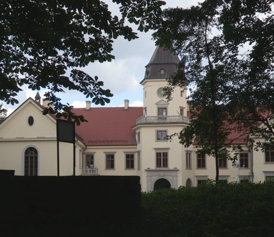 PARK DZIKOWSKI PRZEJDZIE REWITALIZACJĘ – JAK BĘDZIE WYGLĄDA REALIZACJA PROJEKTU?