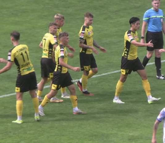 PEWNA WYGRANA PIŁKARZY SIARKI TARNOBRZEG – GOSPODARZE POKONALI BENIAMINKA Z LUBARTOWA