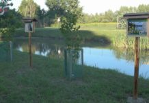 REWITALIZACJA ZAKOŃCZONA SUKCESEM – W GRĘBOWIE ZAGOSPODAROWANO KOLEJNE TERENY