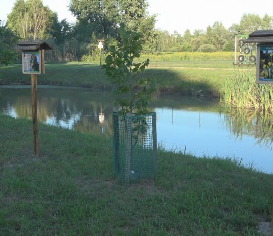 REWITALIZACJA ZAKOŃCZONA SUKCESEM – W GRĘBOWIE ZAGOSPODAROWANO KOLEJNE TERENY