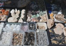 SKARBY ZIEMI NA ZAMKOWYM DZIEDZIŃCU – GIEŁDA MINERAŁÓW W TARNOBRZEGU