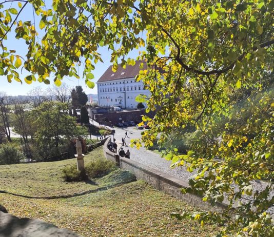 Godziny otwarcia i promocyjne ceny biletów do Muzeum Zamkowego  w Sandomierzu w listopadzie 2024