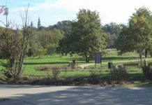 TERENY ZIELONE NAD WISŁĄ DO PRZEBUDOWY – W TARNOBRZEGU MA POWSTAĆ STREFA REKREACYJNA