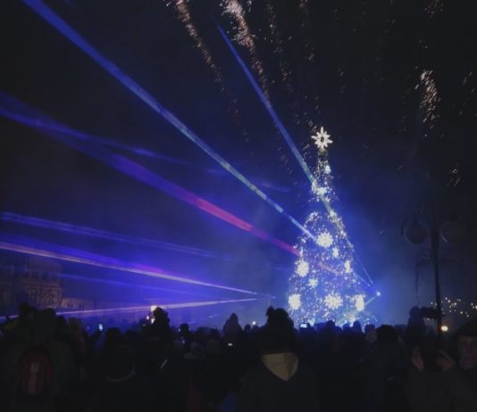 MIEJSKA CHOINKA ROZŚWIETLONA – W TARNOBRZEGU ZROBIŁO SIĘ ŚWIĄTECZNIE