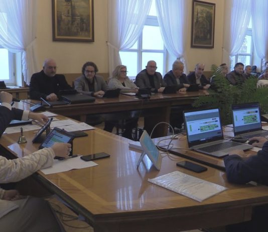 RADNI ZA BUDOWĄ FARMY SOLARNEJ – JEST ZGODA NA WYDZIERŻAWIENIE DZIAŁKI W CENTRUM TARNOBRZEGA