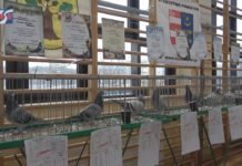 iTV INFO – 27 GRUDNIA 2024