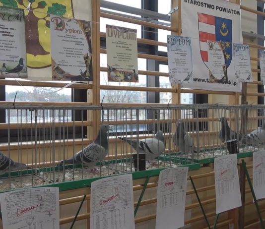 iTV INFO – 27 GRUDNIA 2024