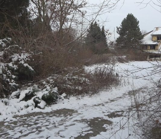 DZIAŁKI W CENTRUM NA SPRZEDAŻ – W TARNOBRZEGU POWSTANĄ KOLEJNE MIESZKANIA