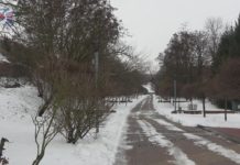 BĘDZIE REWITALIZACJA PARKU PISZCZELE – JAKIE INWESTYCJE ZOSTANĄ WYKONANE W SANDOMIERZU?