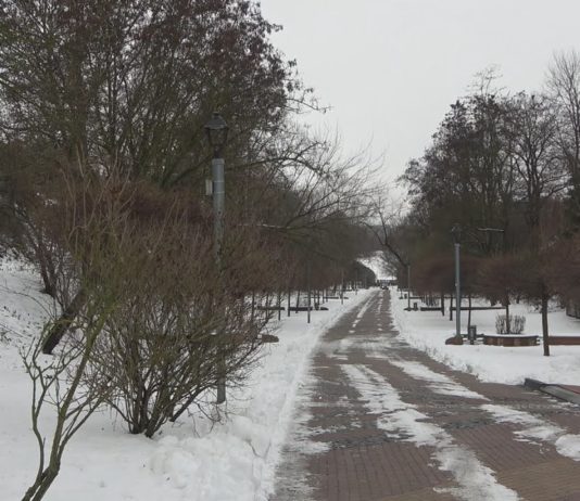 BĘDZIE REWITALIZACJA PARKU PISZCZELE – JAKIE INWESTYCJE ZOSTANĄ WYKONANE W SANDOMIERZU?