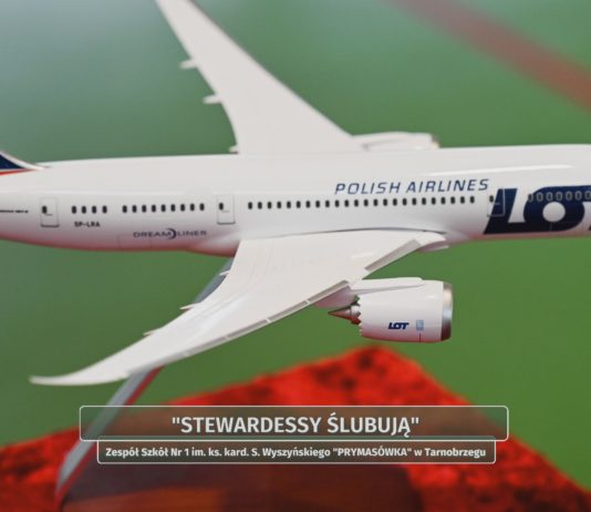 „STEWARDESSY ŚLUBUJĄ”