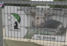 KOMISJA REWIZYJNA KONTRA STOWARZYSZENIE – KTO MA RACJĘ?
