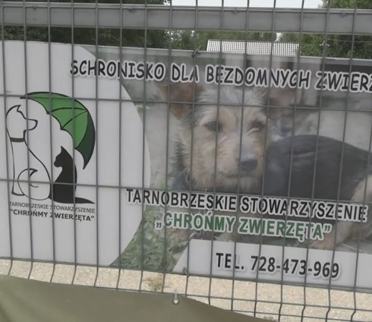 KOMISJA REWIZYJNA KONTRA STOWARZYSZENIE – KTO MA RACJĘ?