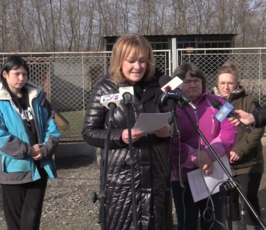 STOWARZYSZENIE ODPOWIADA NA ZARZUTY – KONFERENCJA PRASOWA W SCHRONISKU W MACHOWIE