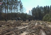 RAZEM DLA LASU – NA TERENIE GMINY NOWA DĘBA SADZILI DRZEWA