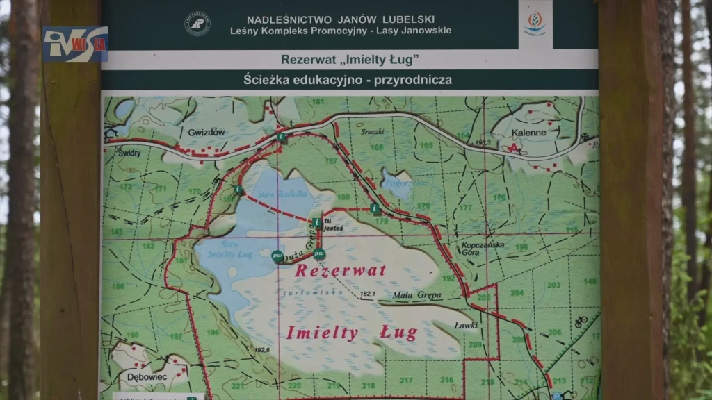 Edukacyjna wyprawa do Lasów Janowskich (1)