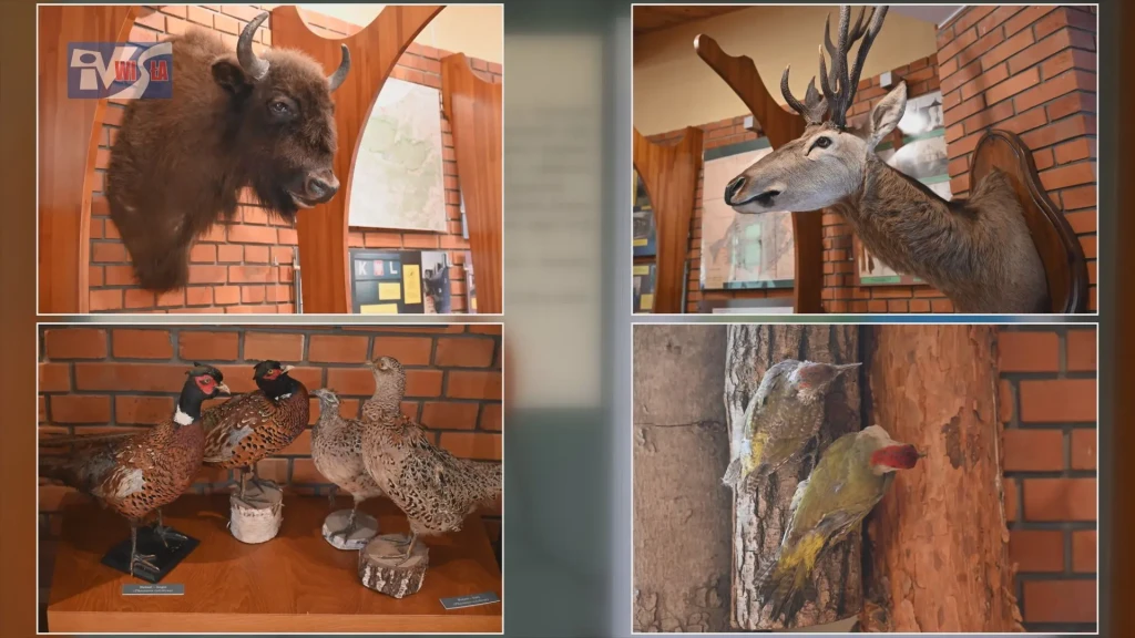 Edukacyjna wyprawa do Lasów Janowskich (14)