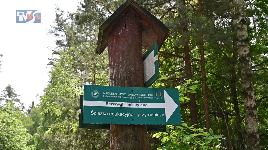 Edukacyjna wyprawa do Lasów Janowskich (5)