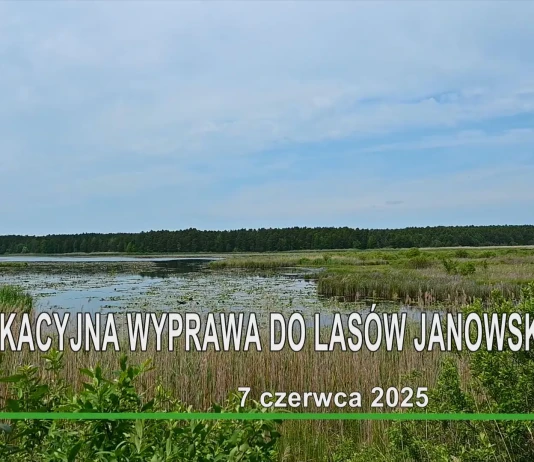 EDUKACYJNA WYPRAWA DO LASÓW JANOWSKICH – 7 CZERWCA 2025 EDUKACYJNA WYPRAWA DO LASÓW JANOWSKICH