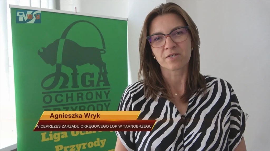 PODSUMOWANIE EKO - ZGADYWANKI 2025 (10)