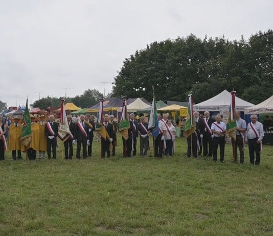 MIÓD I DZICZYZNA NA PIERWSZYM PLANIE – WIELKIE ŚWIĘTOWANIE W SANDOMIERZU