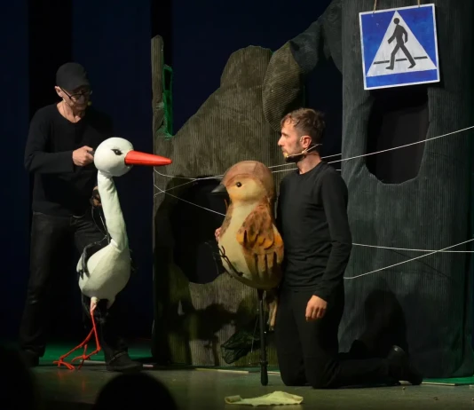 Spektakl lalkowy i warsztaty animacji lalek w TDK – 6.08.2025 SPEKTAKL DLA DZIECI-2