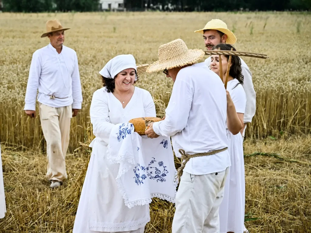 STAROPOLSKIE ŻNIWA-6