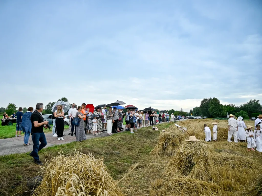 STAROPOLSKIE ŻNIWA-8