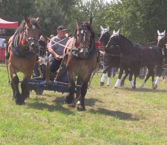 ŚWIETNA ZABAWA I PIELĘGNOWANIE TRADYCJI – VIII ZLOT FURMANEK W FURMANACH