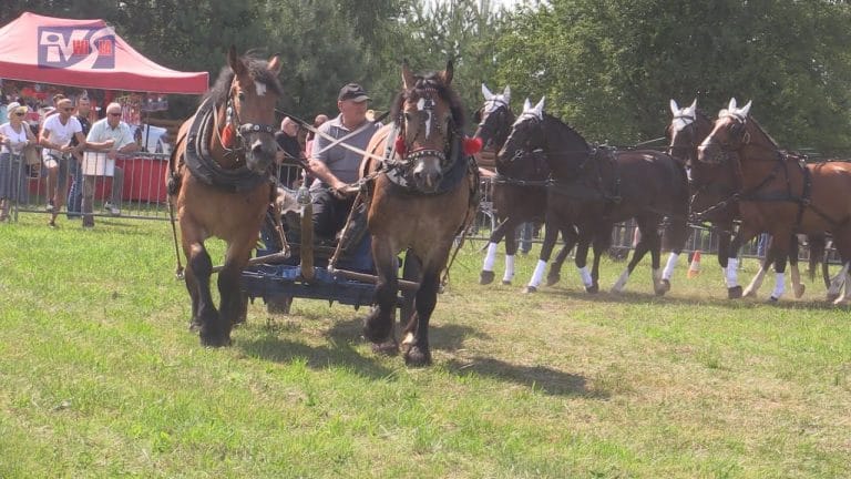 ŚWIETNA ZABAWA I PIELĘGNOWANIE TRADYCJI – VIII ZLOT FURMANEK W FURMANACH