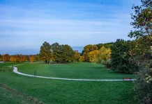 ANKIETA – Strefa zabawy i wypoczynku nad Wisłą w Tarnobrzegu – WYNIKI STREFA ZABAWY I WYPOCZYNKU NAD WISŁĄ_2