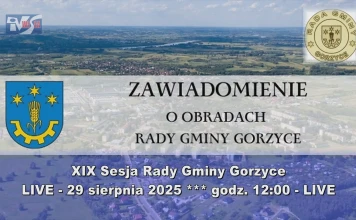 XIX Sesja RG Gorzyce