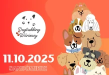 IV SANDOMIERSKI DOGTREKKING WIŚNIOWY – wydarzenie pełne radości energii i psich emocji – 11.10.2025 DOGTREKKING WIŚNIOWY