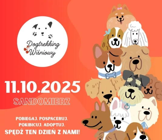 IV SANDOMIERSKI DOGTREKKING WIŚNIOWY – wydarzenie pełne radości energii i psich emocji – 11.10.2025 DOGTREKKING WIŚNIOWY