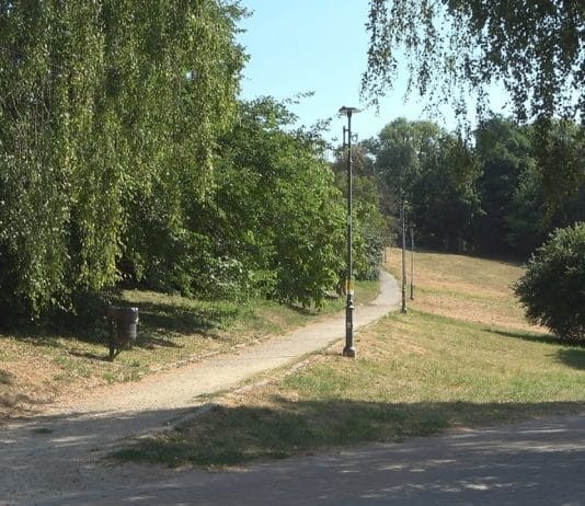 MIEJSKI OBSZAR FUNKCJONALNY – W SANDOMIERZU PLANUJĄ TRZY DUŻE INWESTYCJE