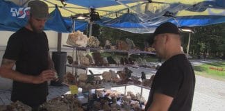 ZAPREZENTOWALI SKARBY ZIEMI – GIEŁDA MINERAŁÓW I SKAMIENIAŁOŚCI W TARNOBRZEGU