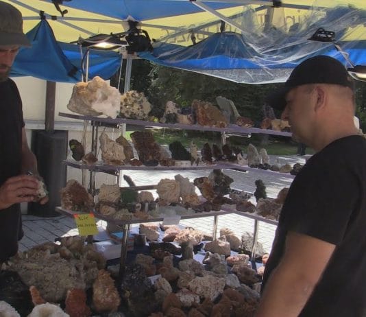 ZAPREZENTOWALI SKARBY ZIEMI – GIEŁDA MINERAŁÓW I SKAMIENIAŁOŚCI W TARNOBRZEGU