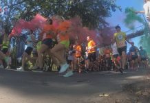 RYWALIZACJA POŁĄCZYŁA TARNOBRZEG I SANDOMIERZ – VII EDYCJA BIEGU SZKLARSKIEGO