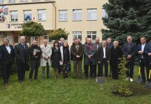 W TARNOBRZEGU UPAMIĘTNIONO ZASŁUŻONEGO SAMORZĄDOWCA – POSADZONO BUK IMIENIA LEONARDA MADEJA