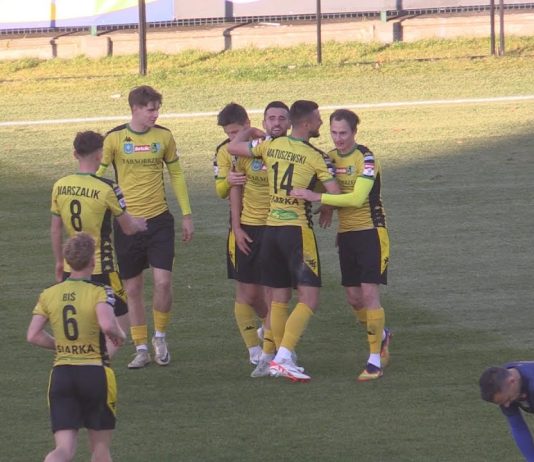 SIARKA TARNOBRZEG WYSZARPAŁA TRZY PUNKTY – GOSPODARZE POKONALI STAL KRAŚNIK