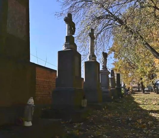 iTV INFO – 7 LISTOPADA 2025