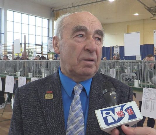 HODOWCY PODSUMOWALI SEZON – OKRĘGOWA WYSTAWA GOŁĘBI POCZTOWYCH W NOWEJ DĘBIE